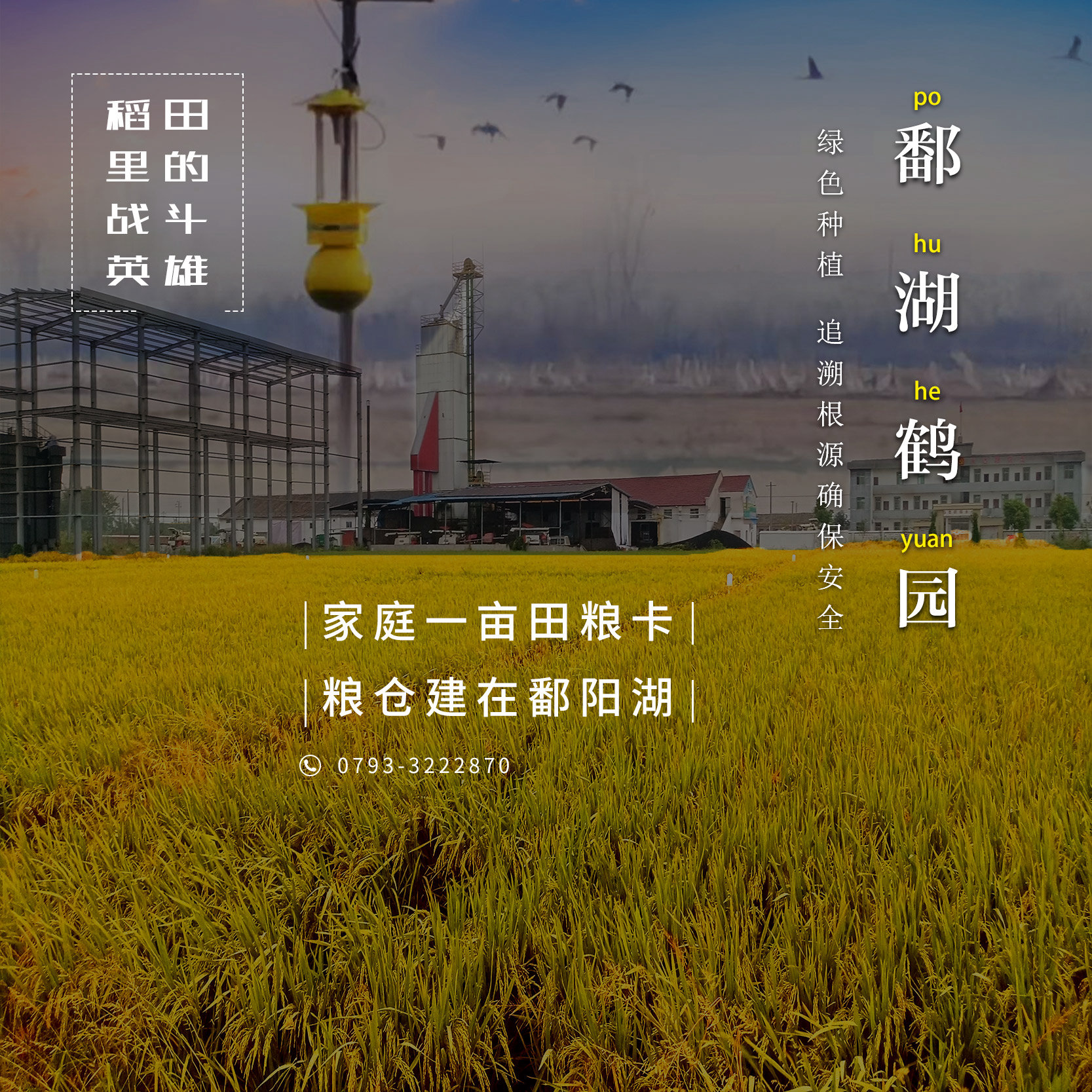 募集#&#鄱陽湖一畝良田的主人啦！